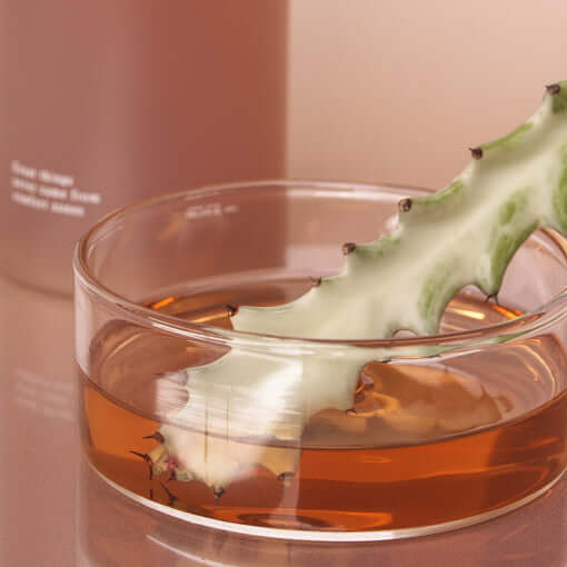 Huxley 调理精华爽肤水 Freeshape 300ml