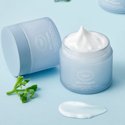 So Natural So Vegan 冰植物水润面霜 70ml