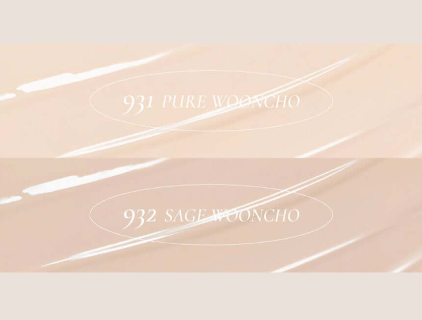 Dinto Wooncho 模糊光泽粉底 25ml