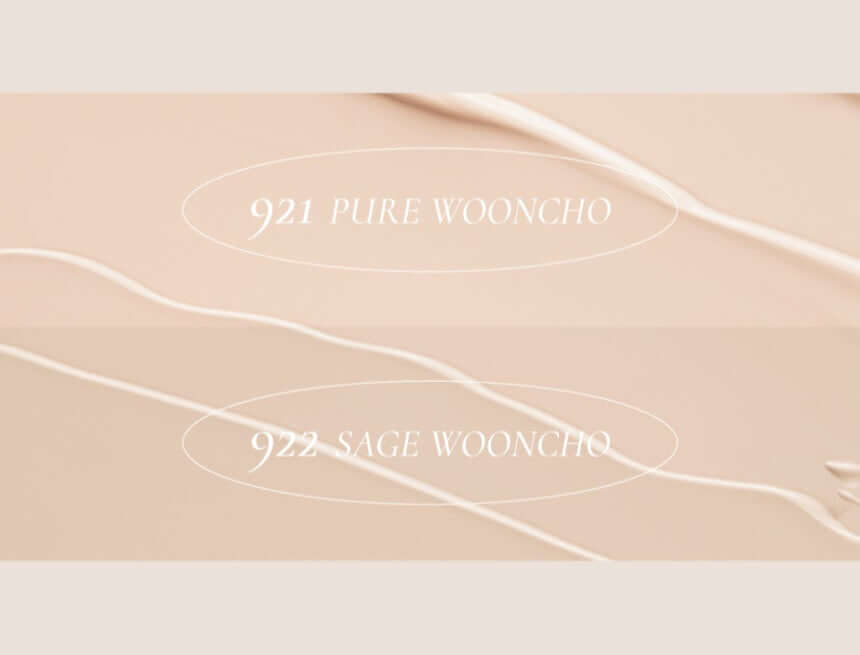 Dinto Wooncho 模糊哑光粉底 25ml